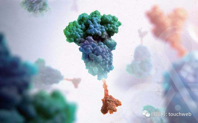 clover三叶草，关于三叶草介绍（三叶草生物港交所上市）