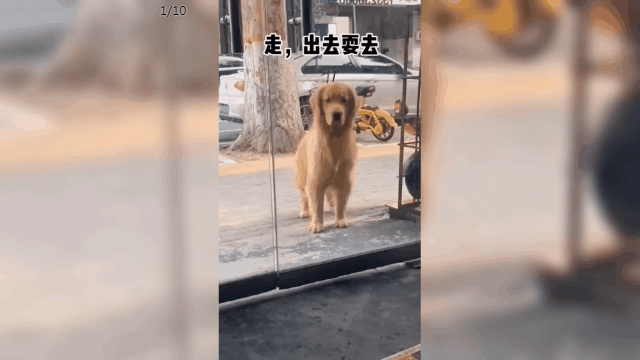 微信步数在哪里，微信步数在哪（你每天走了多少步）