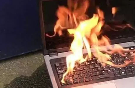 玛咖片主要功能是什么，玛咖片主要功能是什么百度百科（，我所审理的那些消费者案件奇葩事儿）