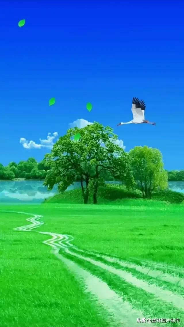 清新图片背景(背景图片简约清新可爱)