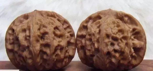 狮子头核桃种类分类有哪些（文玩核桃狮子头大全）