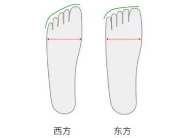 海波丽是什么材料，海波丽是海绵吗（源自1916年的经典国货）