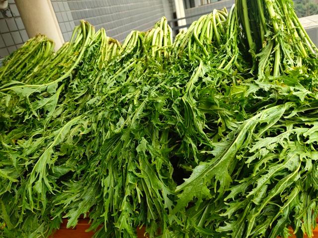 咸菜是什么菜做的，咸菜怎么做的（这9种蔬菜腌好后）