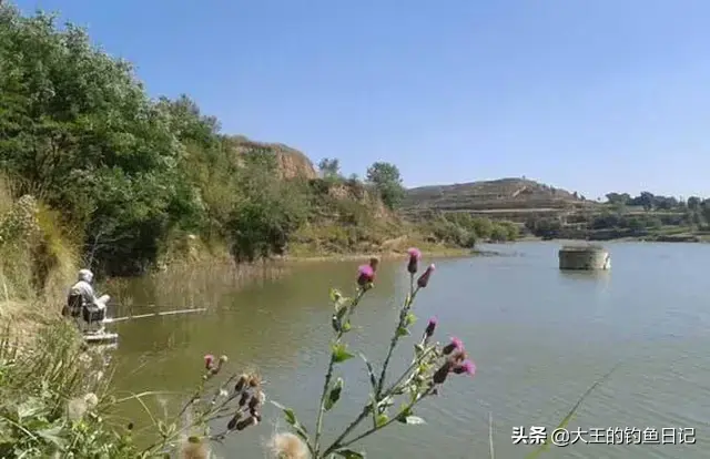 仲春是什么意思，仲夏仲春是什么意思（仲春野钓鲫鱼：深度分析）