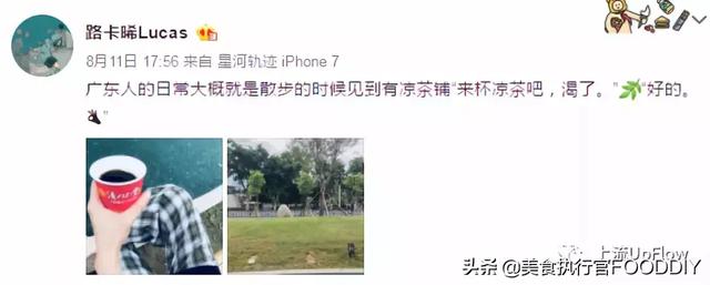 三清茶功效，本草三清茶的作用（凉茶，广东人的救命水！）