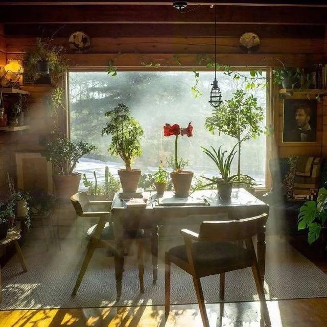 错过就从新开始而不是重新开始/苏苏/愿喜，错过了就从新开始 而不是重新开始是什么意思（我总不能为了你，自己错过吧图片）