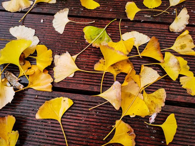 什么是自我认知，性别认知障碍50道测试（自我认知//“我是谁？”）