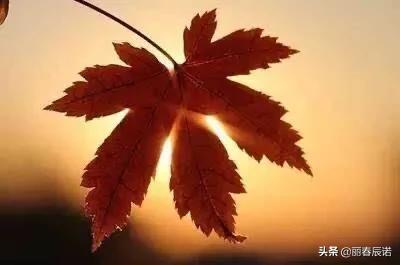 如隔三秋上一句,如隔三秋上一句成语是什么(藏头打油小诗/一日不见如隔三秋) 如隔三秋上一句,如隔三秋上一句成语是什么(藏头打油小诗/一日不见如隔三秋)