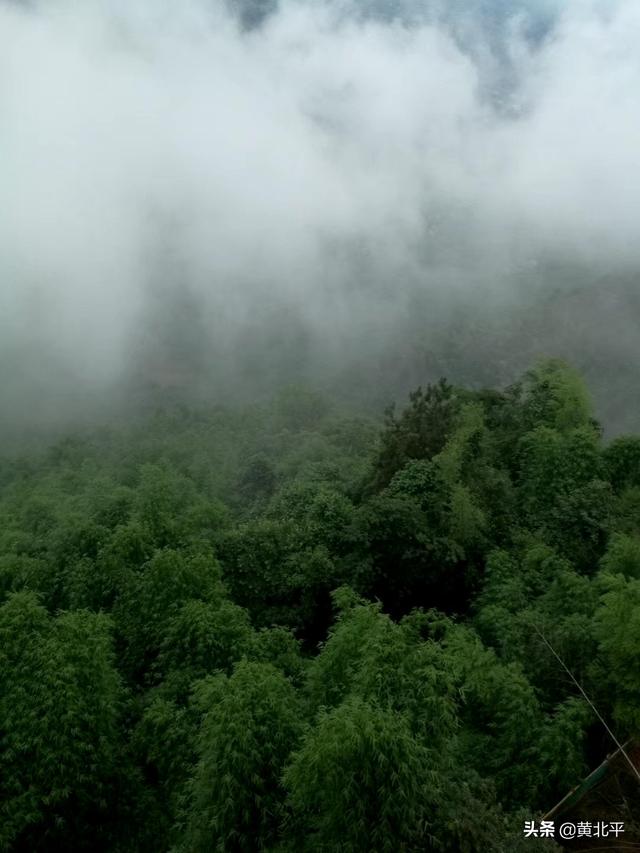 蜀南竹海在哪里，蜀南竹海什么时候去最好（四川宜宾市蜀南竹海）