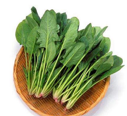 圖片[4]-幾種比較適合冬天吃的蔬菜 價錢便宜 還營養豐富-起舞食譜網