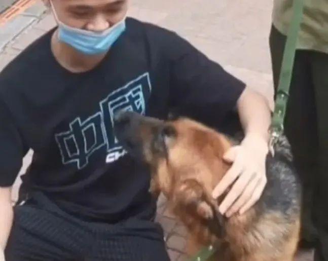 警犬多少钱一只(中国最厉害的警犬)