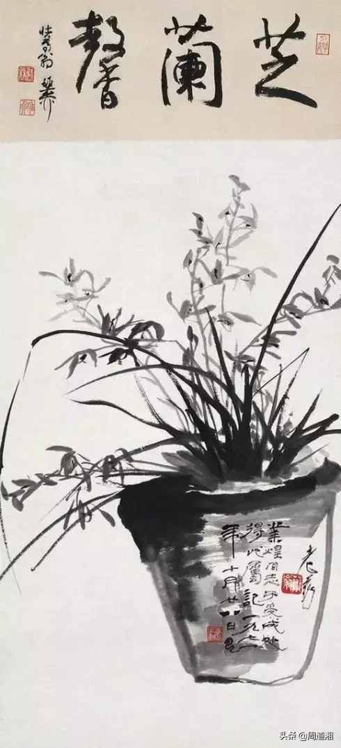 草的简笔画怎么画，猪笼草的简笔画怎么画（兰草的画法）