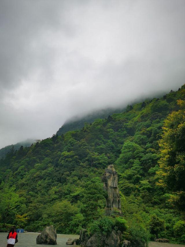 黑山谷自助游攻略最新，黑山谷攻略 自驾游（重庆黑山谷一日游最佳路线）
