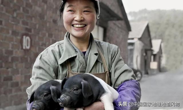 火腿中的南腿，火腿中的南腿北腿都是指什么地方（这条腿，谁看了不流口水）