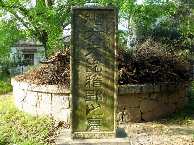 伏八是什么，伏八是什么cp（凝结中国古工匠最高智慧）