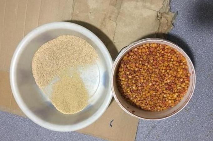 实话告诉你：钓鱼用这几种饵料，鱼最容易上钩，效果立竿见影，新手老手都适用！