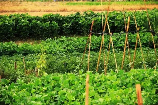 长孙皇后的女则,长孙皇后的女则译文(百川论道 , 长孙皇后) 长孙皇后的女则,长孙皇后的女则译文(百川论道 , 长孙皇后)