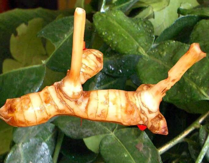 图片[25]-卤肉卤菜时 需要哪些香料？了解这25种香料的作用 香味入骨！-起舞食谱网