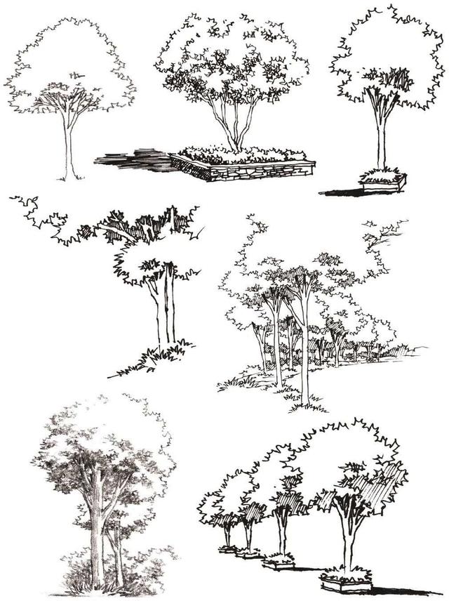 超简单风景速写入门初学者，适合初学者学习的速写中植物配景的画法图解教程