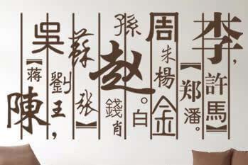 汉族最大的十个姓是什么，中国的十大姓是什么（看看汉族姓氏“血统图”）