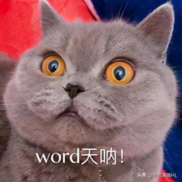 什么是乙烯，什么是乙烯基（都在本篇趣味小科普里）