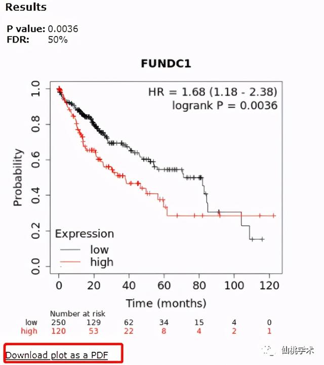 excel左右拉条不见了，excel的左右滚动条不见了（单基因泛癌免疫分析）