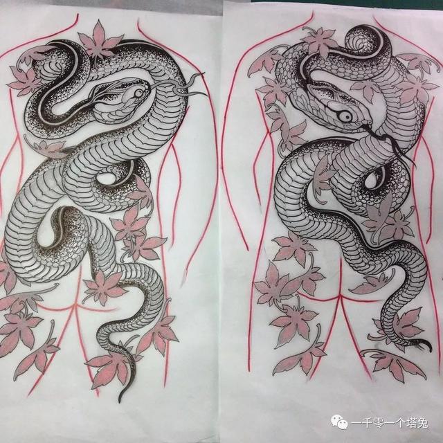 纹眼镜蛇是什么寓意，纹身图案分类第4期-动物-蛇