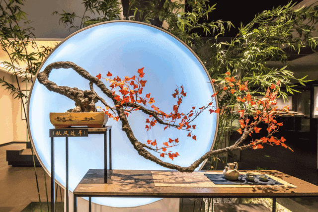 南京有哪些博物馆，南京可以参观的博物馆（南京11家博物馆特色、门票、地点、交通全有）