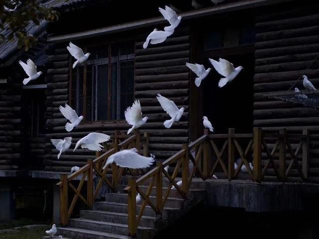 ins背景图，ins背景图简约（惊艳访客的ins风小众背景图）