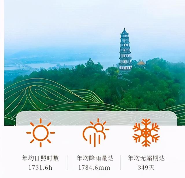 正宗陈皮出产地是那里，新会陈皮核心产区详解