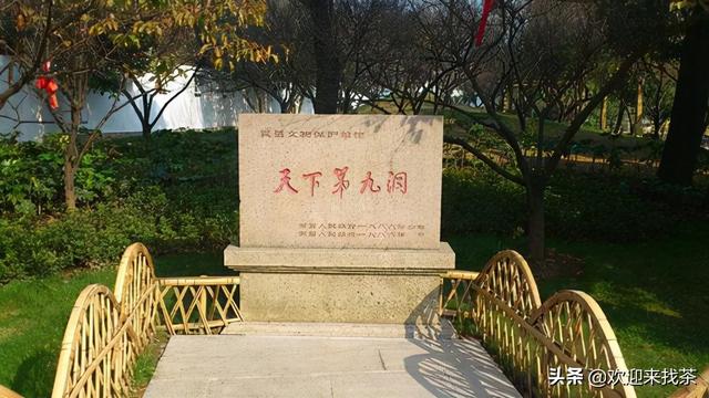 碧螺春是什么茶，百度碧螺春是什么茶（正宗的碧螺春茶是哪里产的）