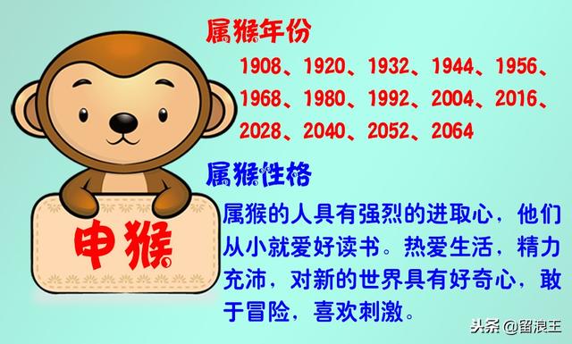 十二生肖与人生运势，十二生肖财富运势（十二生肖的性格及运势）