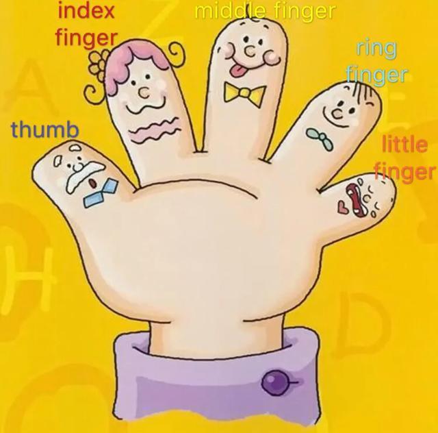 finger怎么读，趣味记单词之finger和figure