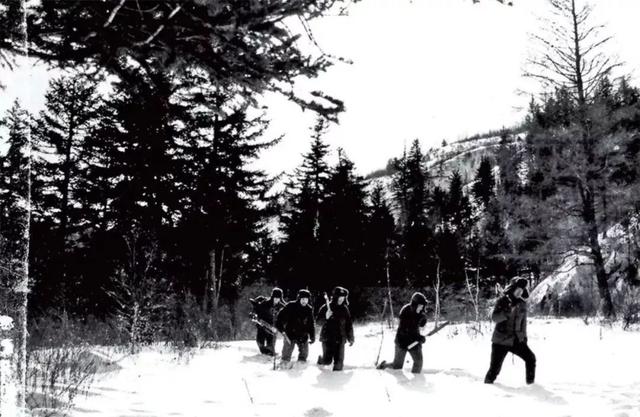 吴改花扮演者是谁，吴改花扮演者朱研（为什么电视剧《最美的青春》收获盛赞）