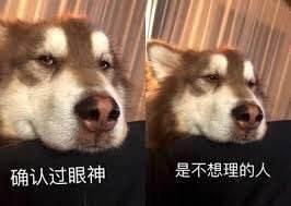 sd是什么意思，sd是什么意思追星（2018流行词语，来看一看吧）