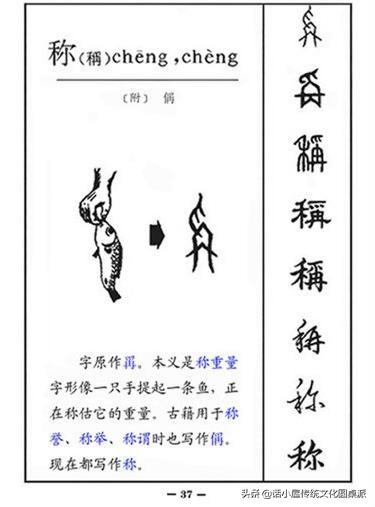 汉字字体的演变，关于汉字的字体的演变（从字源到甲骨文、金文、小篆再到楷书、行书的过程）