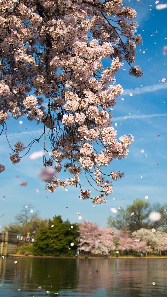 风景图片手机壁纸，超美风景手机壁纸高清（唯美手机锁屏风景壁纸）