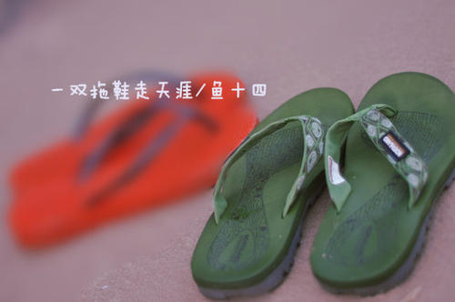 菠菜是什么意思，柬埔寨，就是这么任性