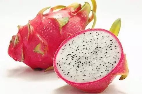 梨的简笔画图片，教你画水果梨子的简笔画（儿童水果简笔画教程大全）