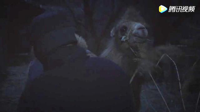 新世界里小红袄是谁，新世界里小红袄是谁演的（《新世界》中“小红袄”原来是他）