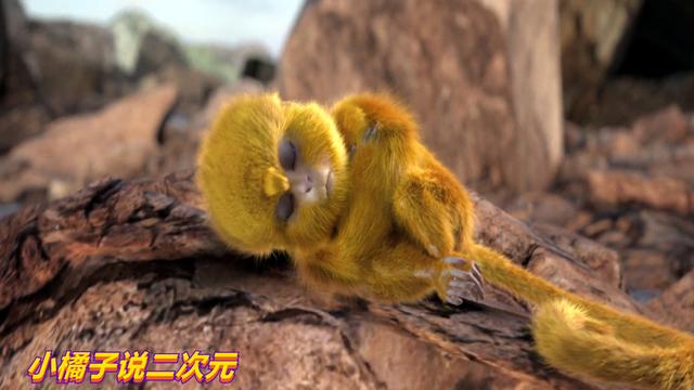 完美世界手游英雄图鉴之朱厌，完美世界朱厌的图片（完美世界毛球的一生）