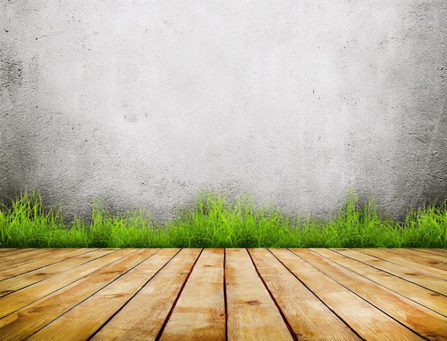 地龙骨定义的介绍，它的功效与作用是什么（学会挑选妙招，让冬天更加温暖）