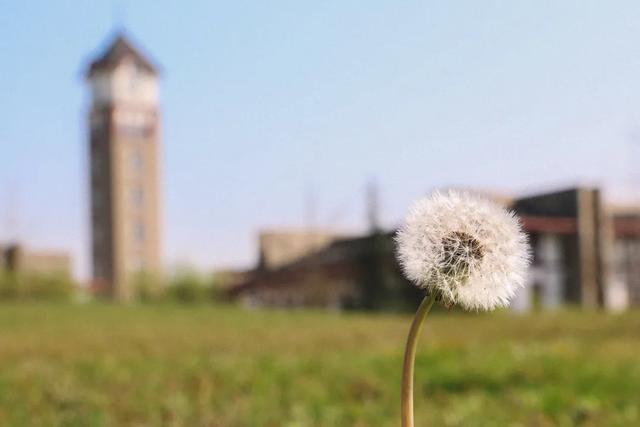 成都东软信息技术学院,成都东软学院是一本还是二本(这里是成都东软学院) 成都东软信息技术学院,成都东软学院是一本还是二本(这里是成都东软学院)