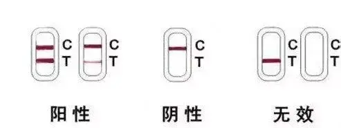 犬瘟和细小的区别，犬瘟和细小是同种病毒吗（犬瘟与细小到底是啥）