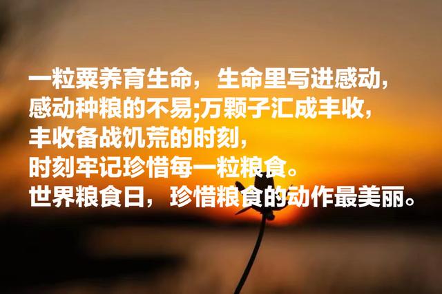 拒绝浪费粮食的句子，关于拒绝浪费粮食的短句（分享十句关于珍惜粮食语录）