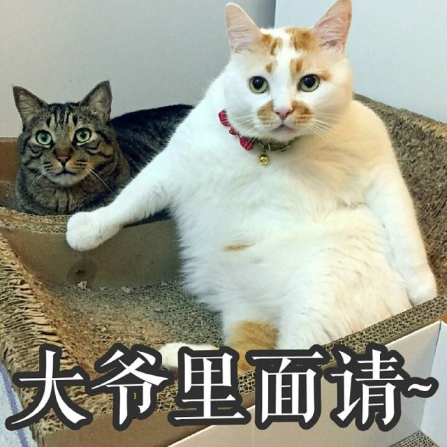沐浴露可以洗头吗，男士沐浴露壮阳是真的吗（洗面奶、沐浴露可以替代洗发水吗）