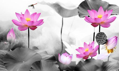 国学经典内容摘抄，国学经典名句摘抄（100句国学经典名句大全）