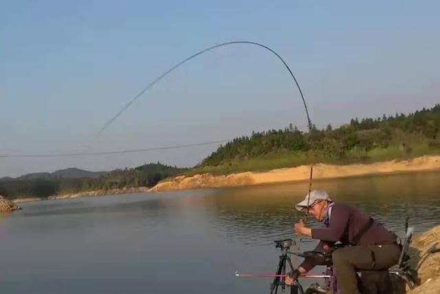 皖鱼和草鱼的区别，中山脆皖鱼和草鱼的区别（难怪钓草鱼总是空手而归）