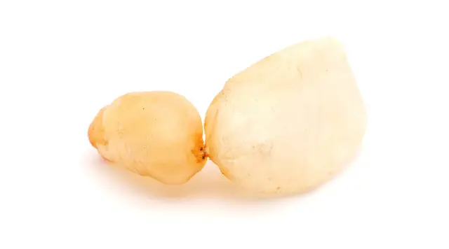 吃鱼籽会不会长胖，肥胖的人能吃鱼籽吗（鱼身上一个部位有毒）