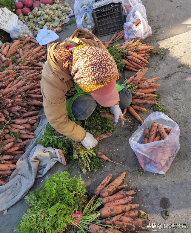 卜留克是什么菜，东北的卜留克学名叫什么（姜不辣等蔬菜名字很魔性）